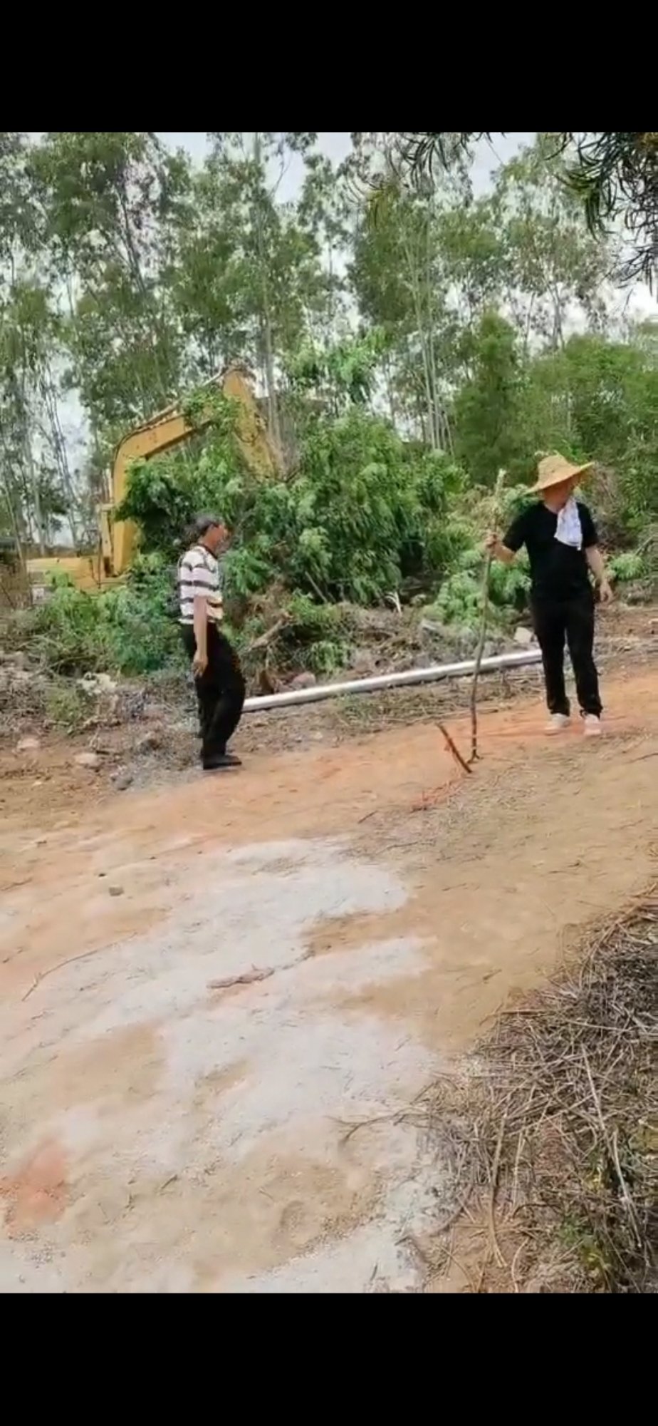 Screenshot_20250421_175740_com.huawei.himovie.local.jpg