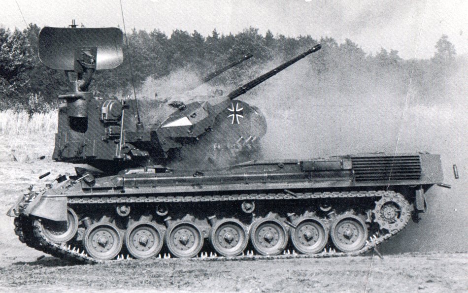 gepard_Allemagne_15.jpg
