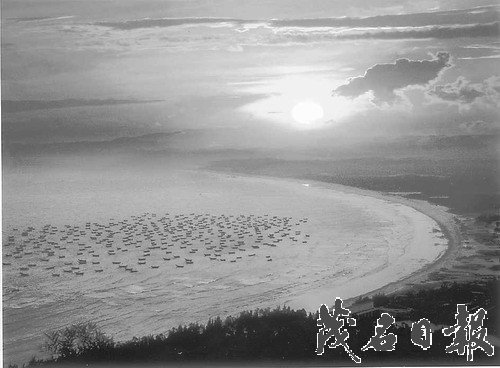 月牙湾晨曦杨柳榕 摄 一等奖.jpg